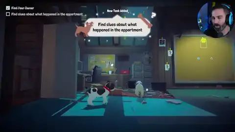 Haunted Paws puppy sniffing the broken apartment window